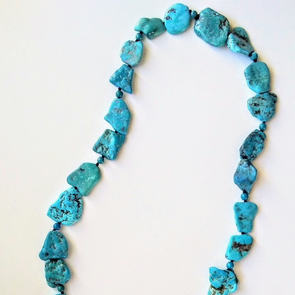 Long strand turquoise Necklace